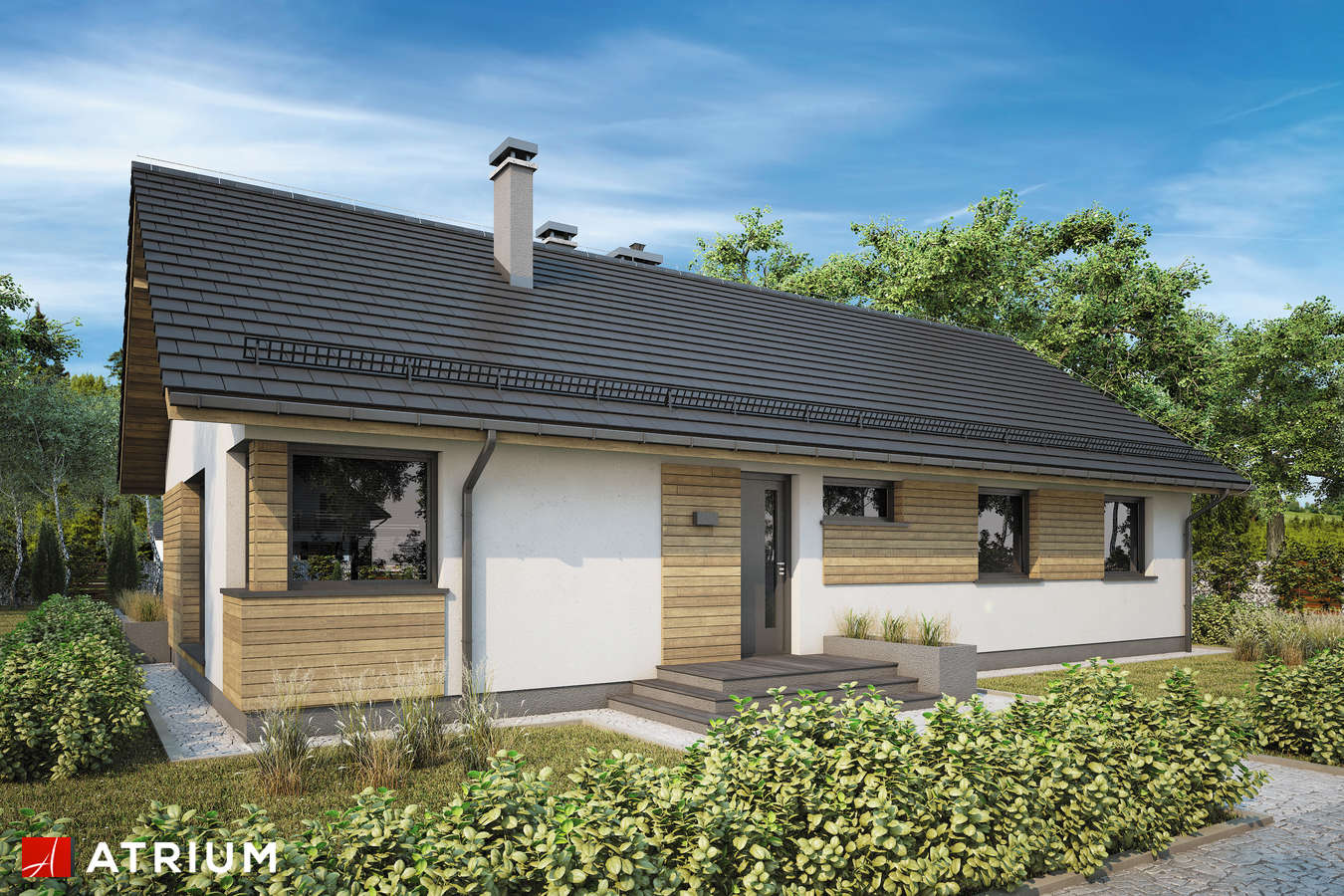 Projekty domów - Projekt domu parterowego AURORA MAXI II BIS SZ - wizualizacja 1 - wersja lustrzana