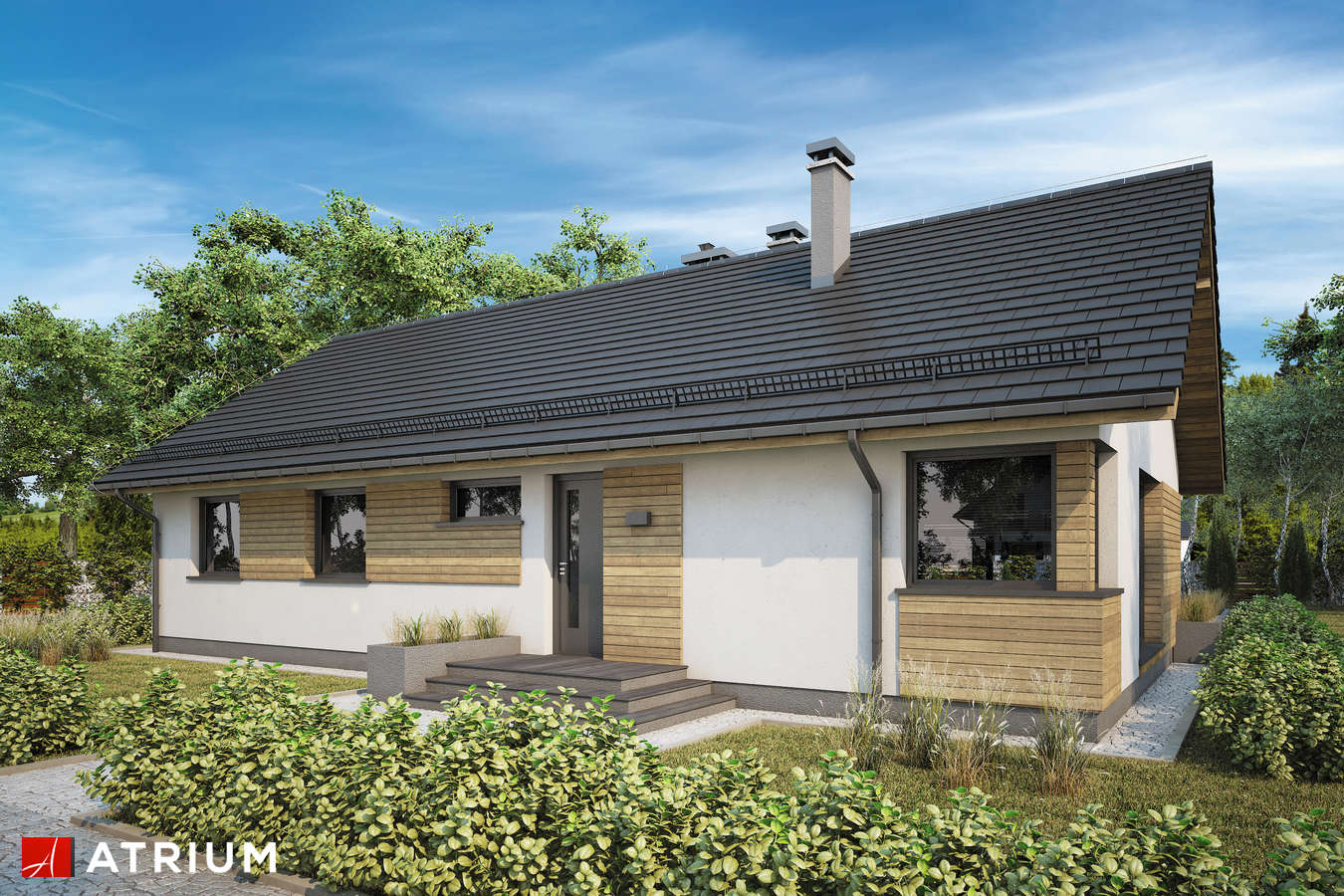 Projekty domów - Projekt domu parterowego AURORA MAXI II BIS SZ - wizualizacja 1