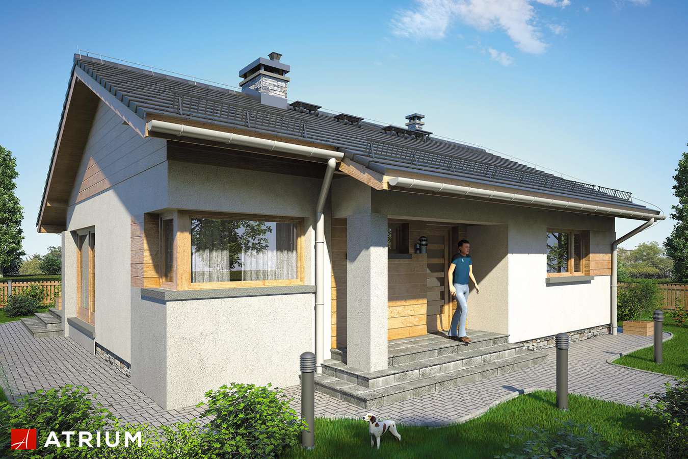 Projekty domów - Projekt domu parterowego RICARDO XII - wizualizacja 1 - wersja lustrzana
