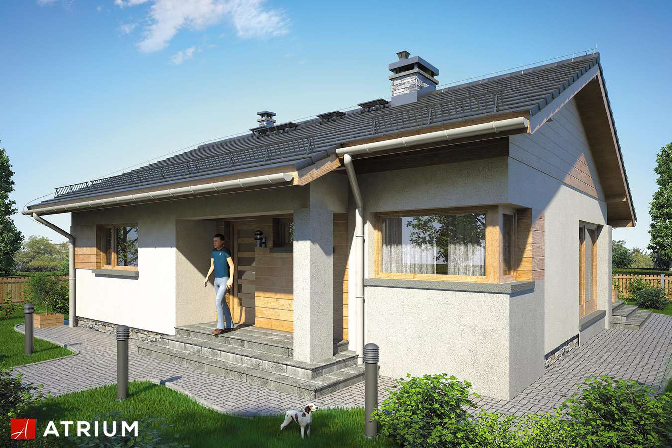 Projekty domów - Projekt domu parterowego RICARDO XII - wizualizacja 1