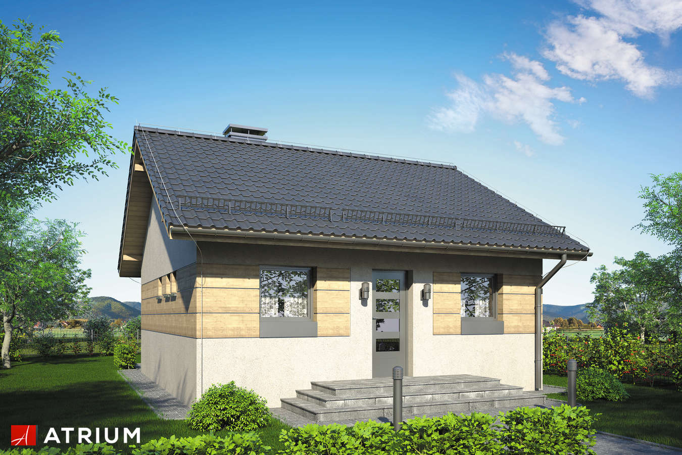 Projekty domów - Projekt domu parterowego FILEMON II - wizualizacja 1